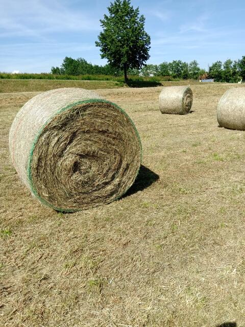 Heurundballen