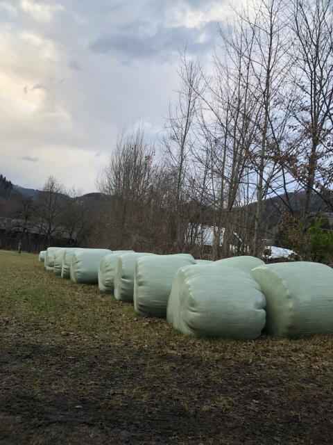 Silage- und Gärheuballen