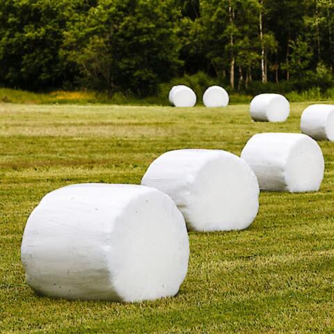 Silageballen
