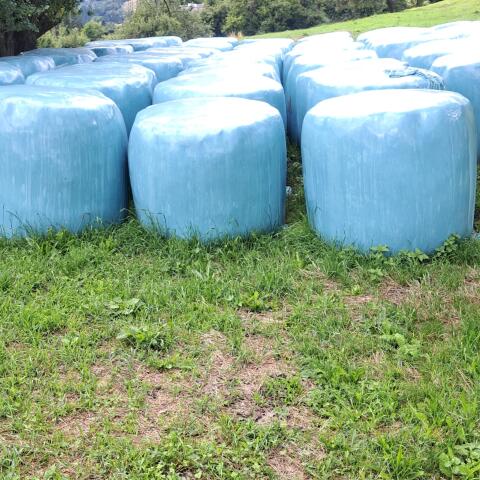 BIO Siloballen - 1. Schnitt