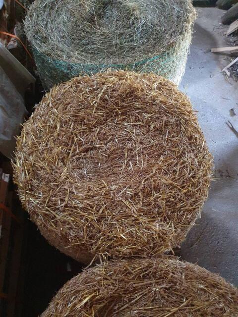 Strohballen