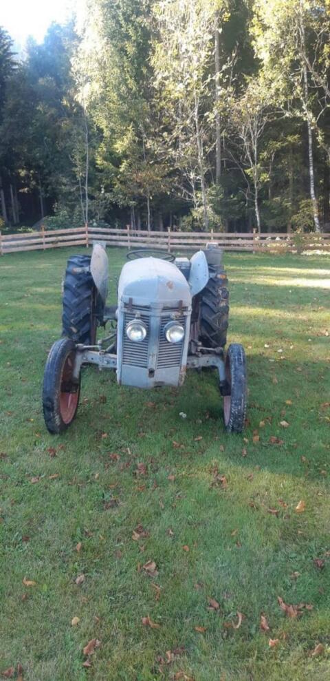 Oldtimer Ferguson TEF