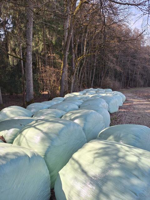 Silageballen