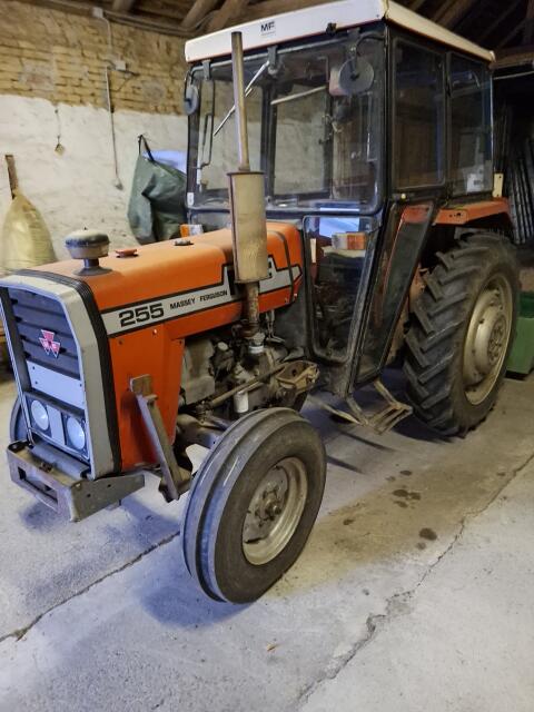 Traktor Massey Ferguson 255 mit Frontlader