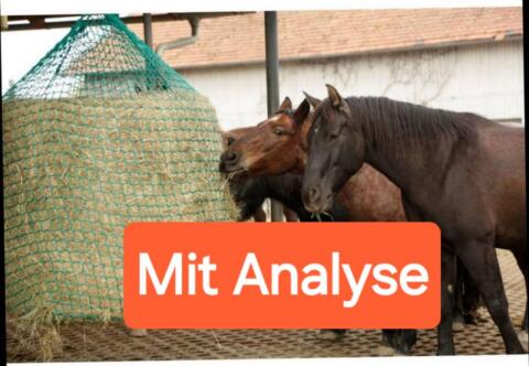 Heu mit Analyse Pferdeheu Rundballen