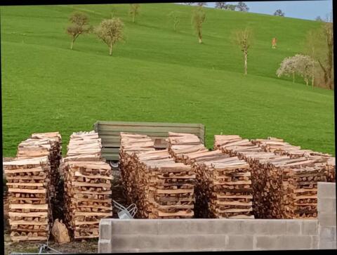 Brennholz
