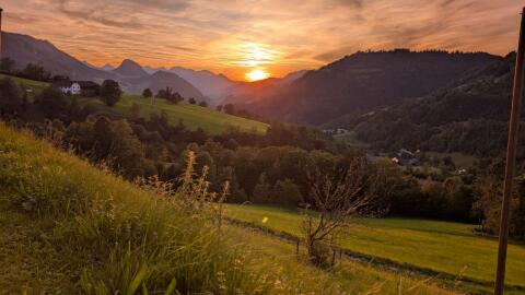 Pachtgrund