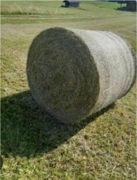 Heu