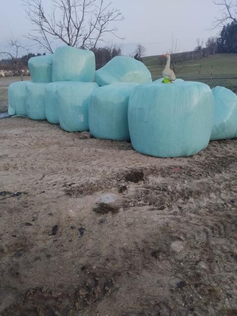 Siloballen