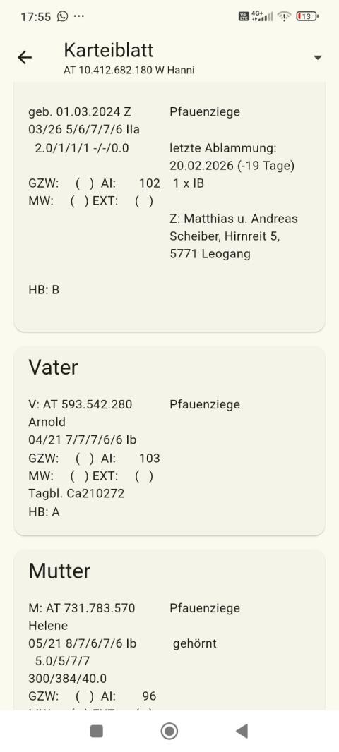 HB Pfauenziege