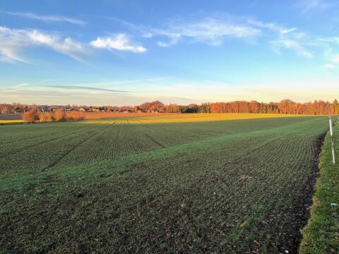 Landwirtschaftliche Nutzfläche in Gilgenberg am Weilhart