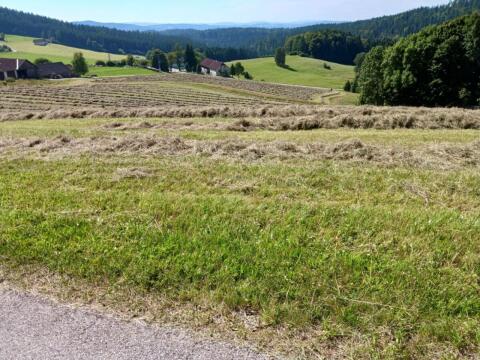 Heuballen