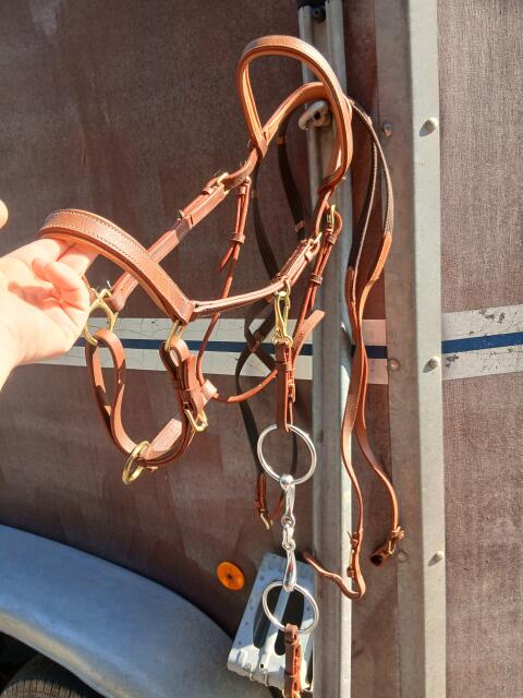 Wanderreithalfter mit Biss und Zügel