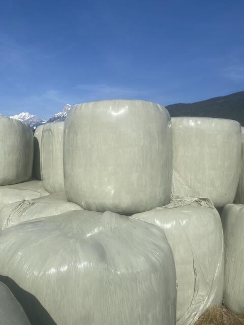 Silageballen