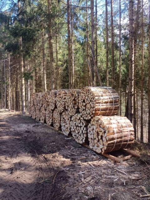 Brennholz
