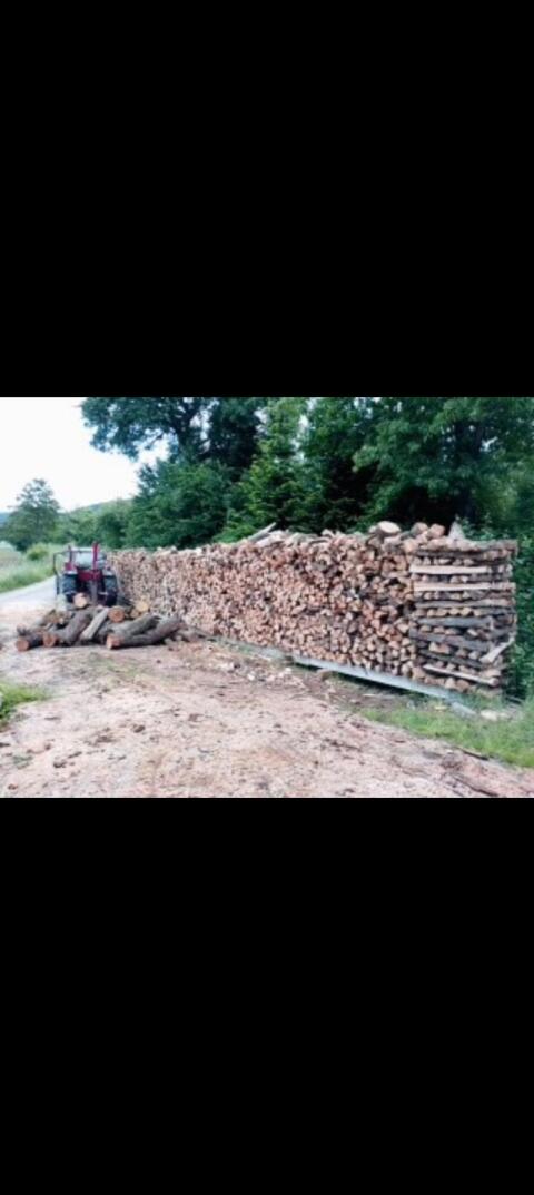Brennholz