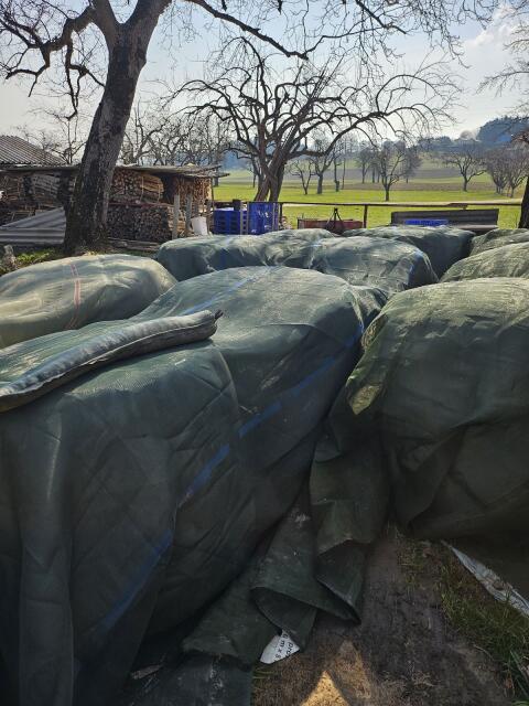 Siloballen 4. Schnitt 2025 125 cm