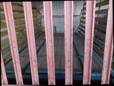 Steyr Hamster Plus 17