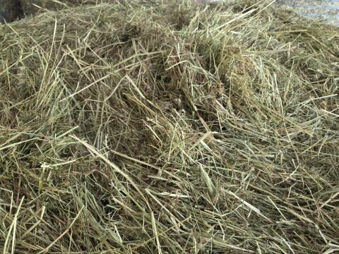 Verkaufe wunderschönes Belüftetes Heu