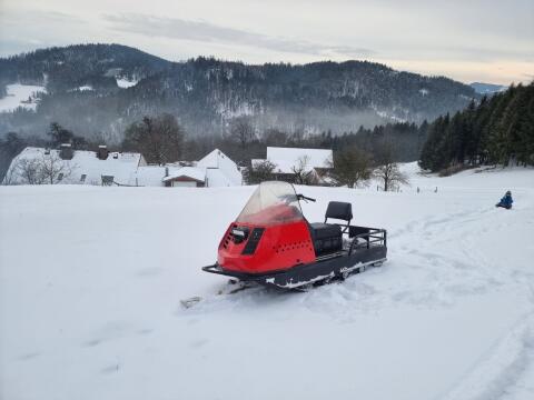 Motorschlitten Alpine Ski-Doo