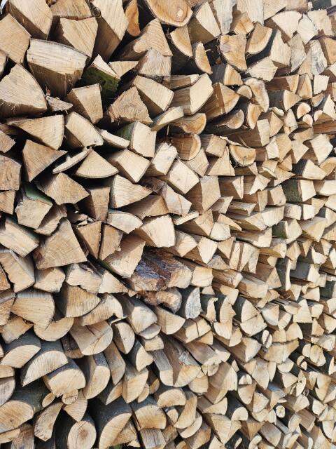 Brennholz Eiche