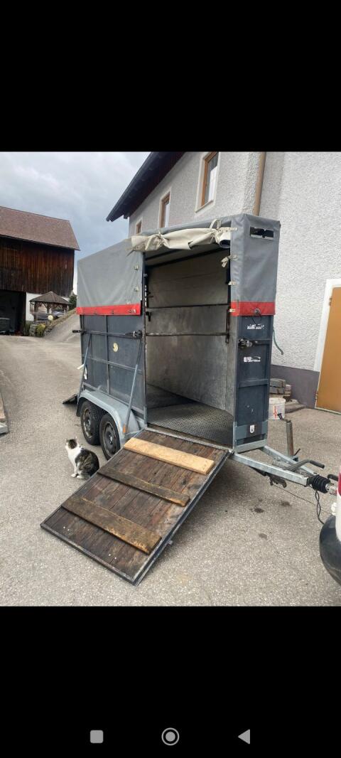 Pferdeanhänger