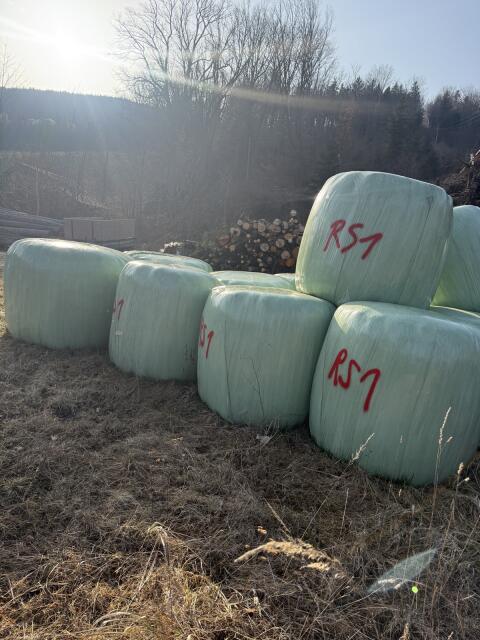 12 Stk. Siloballen 1. Schnitt