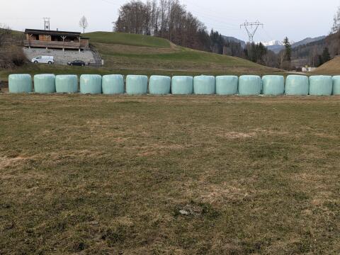Silageballen