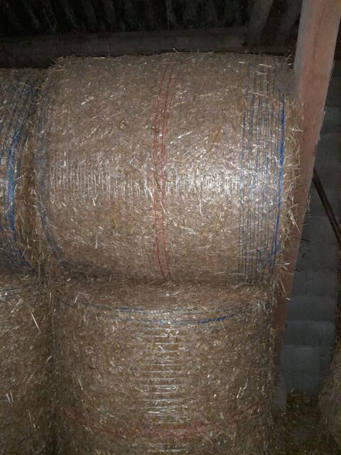 Strohballen