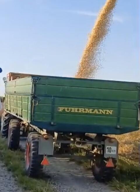 Fuhrmann Kipper