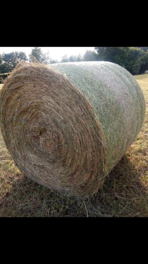 Heu Rundballen