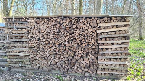 Brennholz