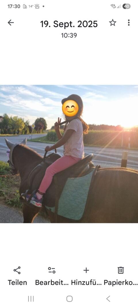 Kinderpony Stute Pony