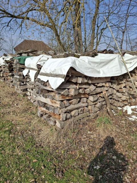 Brennholz