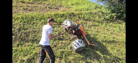 Grünlandpflege, Motormäher, Mäharbeiten, Abtransport