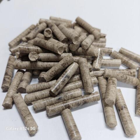 Lohnpelletierung Pellets Pelletsproduktion