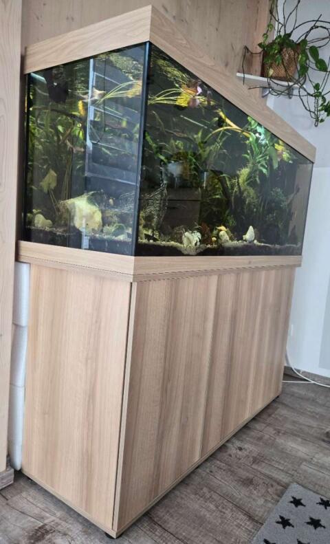 Verkaufe Aquarium Juwel Rio 450 mit Fluval FX4 Aussenfilter