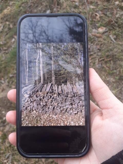 Holz zu verkaufen