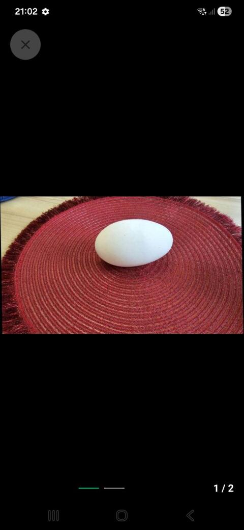 Gans Eier