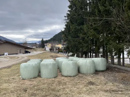 Siloballen zu verschenken
