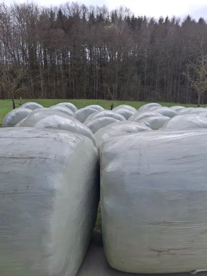 Grassilageballen zu verkaufen