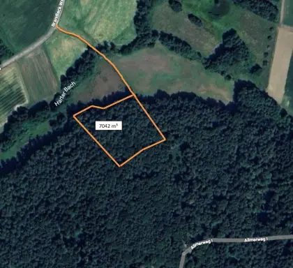 Wald in der Oststeiermark 7.042 m² zu verkaufen
