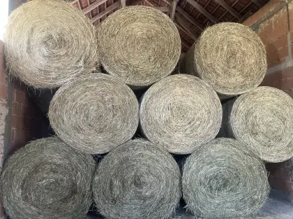 75 Stk. Bio Heurundballen