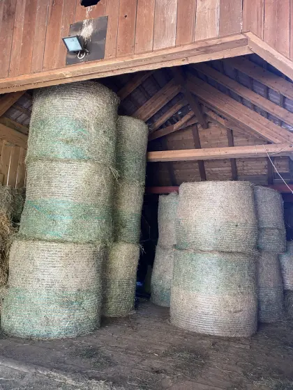 Verkaufe Bio Heurundballen