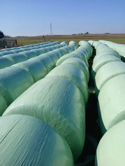 Bio Maissilage Rundballen