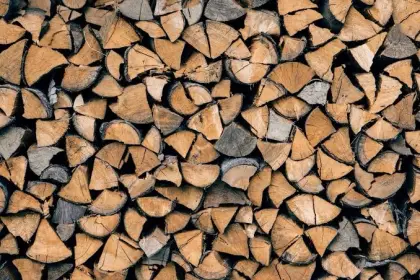 Brennholz
