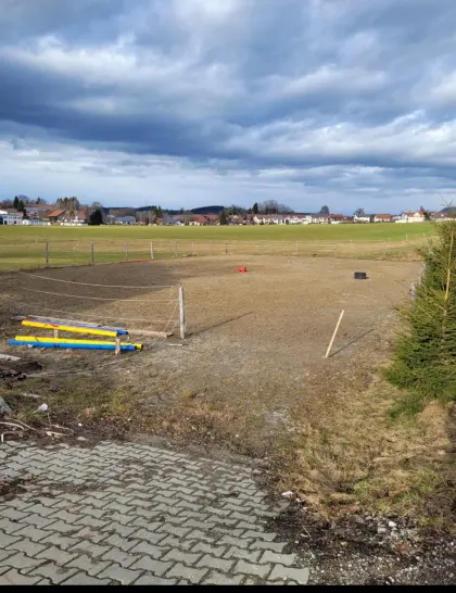 Zwei Pferdeboxen zu vermieten