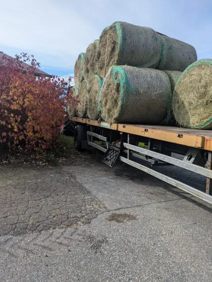 Ballenanhänger, Plateauanhänger, Ballenwagen