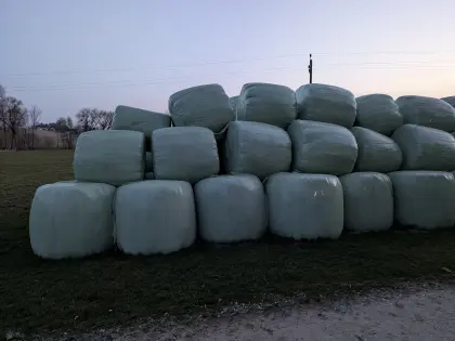 Silageballen