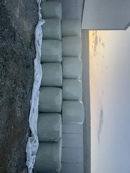 Bio Luzerne Silageballen